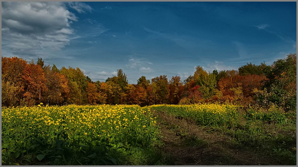 photo "***" tags: landscape, autumn