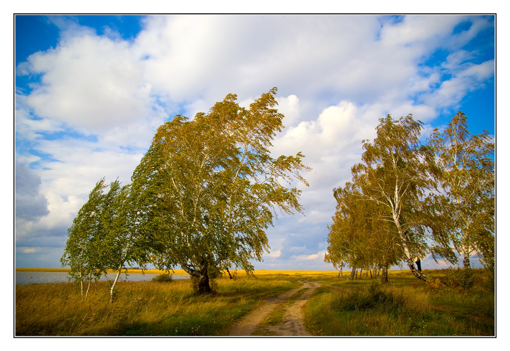 photo "***" tags: landscape, autumn