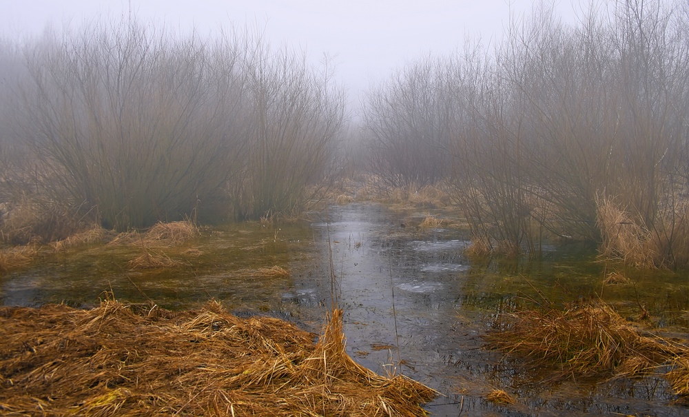 photo "***" tags: landscape, spring