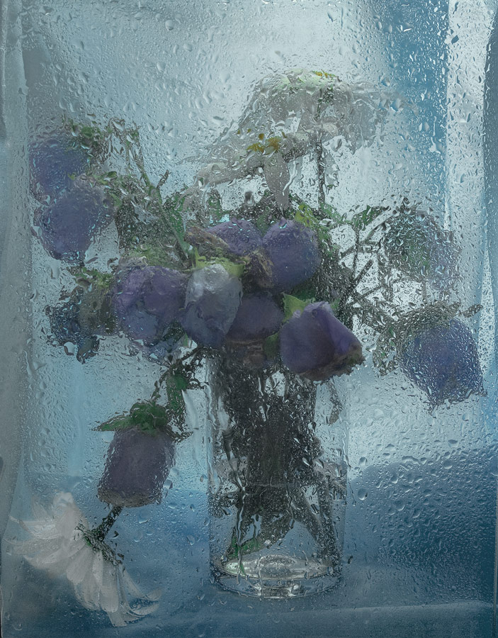 photo "***" tags: still life, 