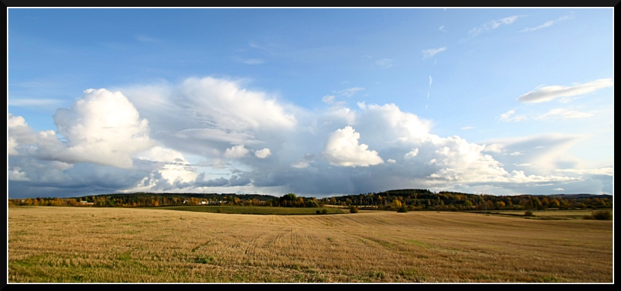 photo "Field" tags: landscape, autumn