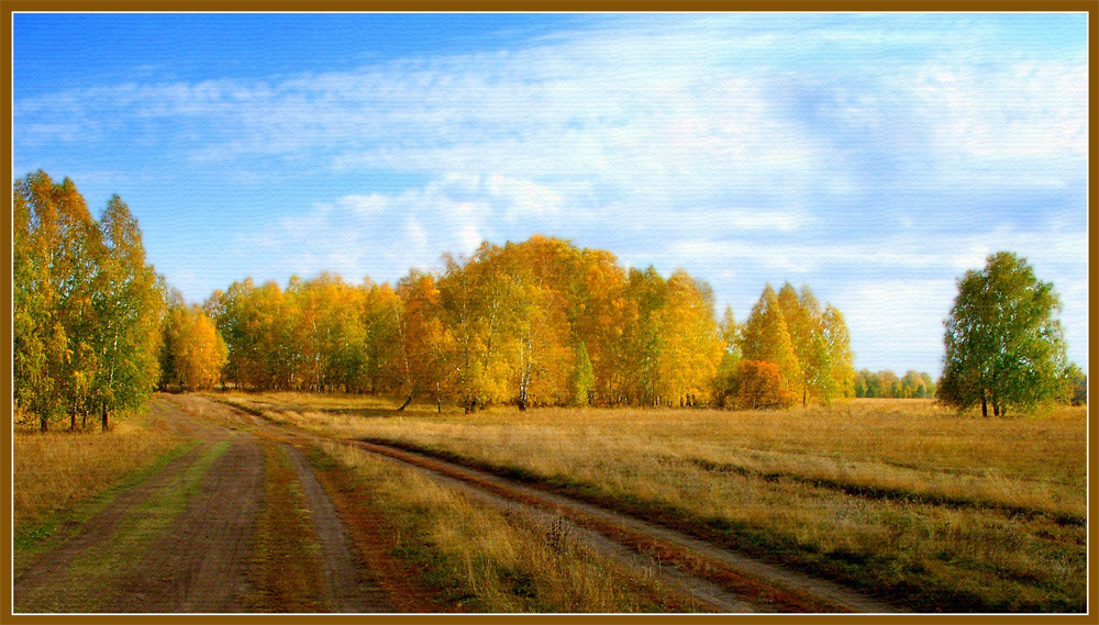 photo "***" tags: landscape, autumn, forest