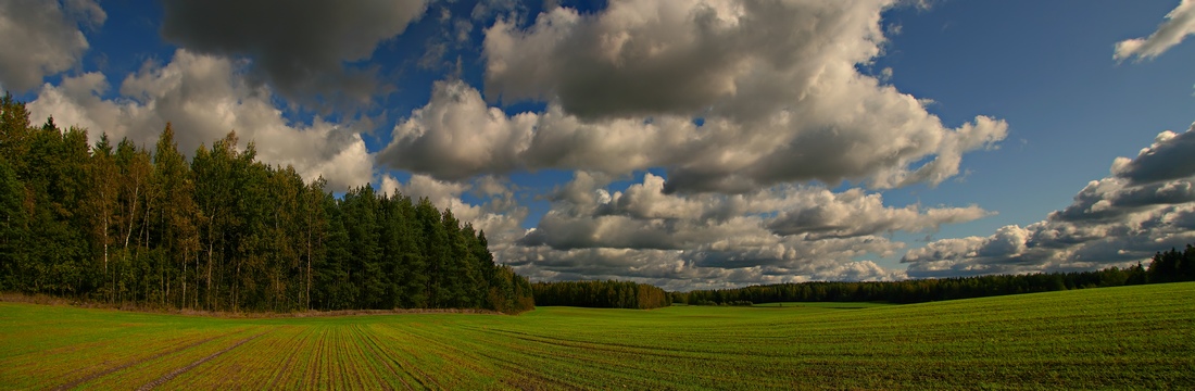 photo "***" tags: landscape, autumn