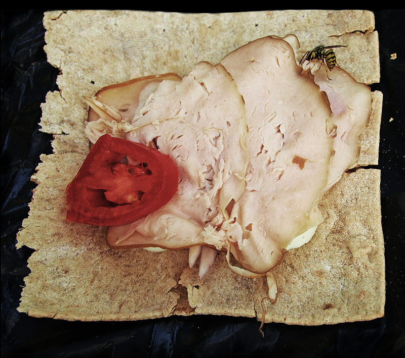 photo "The Raptor with the piece of meat, tomato and wrap" tags: still life, nature, wild animals