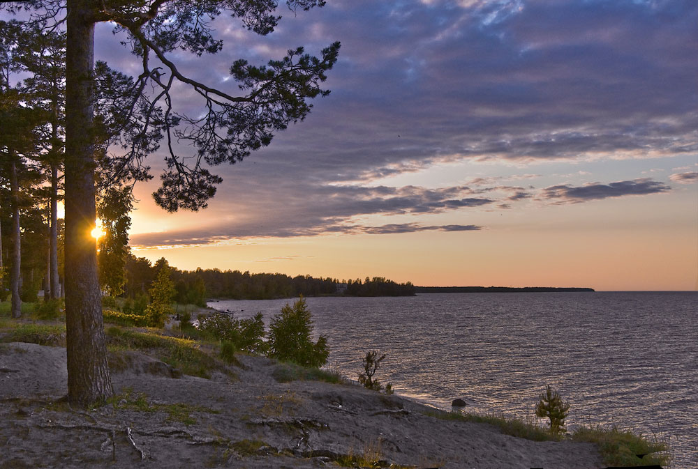 photo "***" tags: landscape, summer, sunset