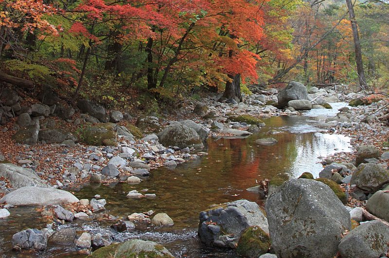 photo "***" tags: landscape, autumn