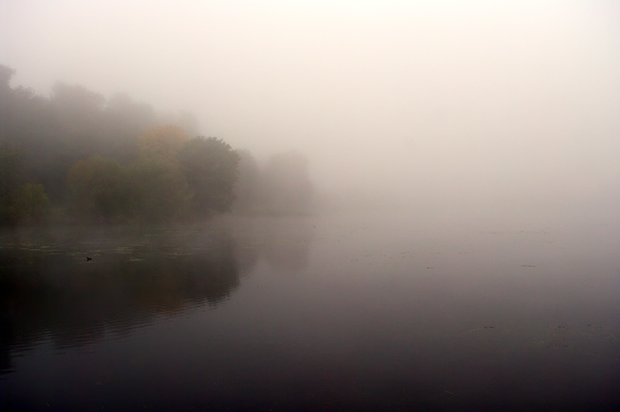 photo "***" tags: , 
