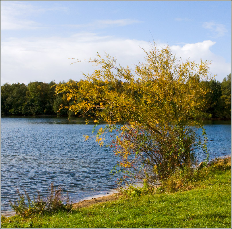 photo "***" tags: landscape, autumn