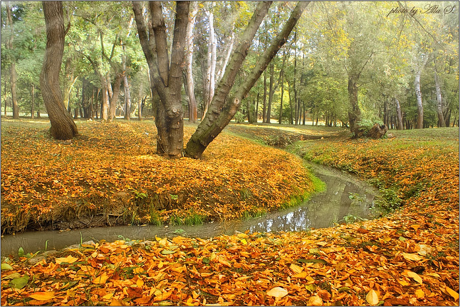 фото "Остатки лета" метки: пейзаж, лес, осень