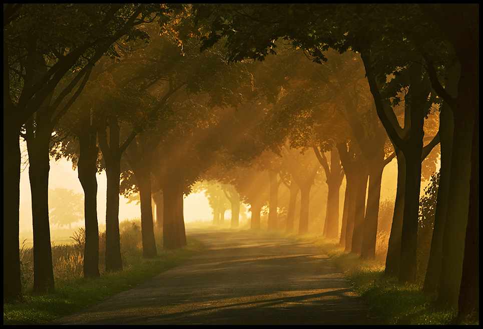 photo "Autumn road..." tags: landscape, 