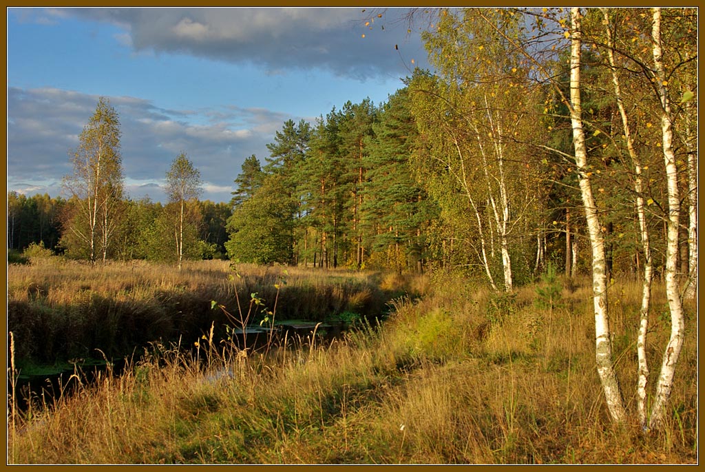 photo "So autumn has come" tags: landscape, autumn, forest