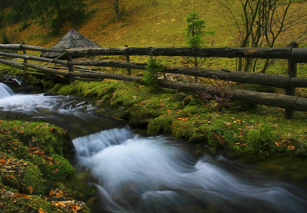 photo "***" tags: landscape, spring