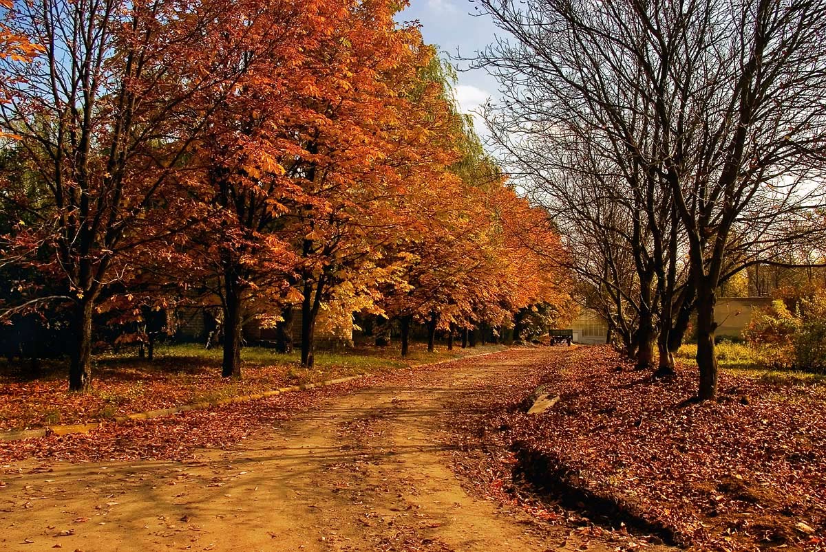 photo "***" tags: landscape, autumn