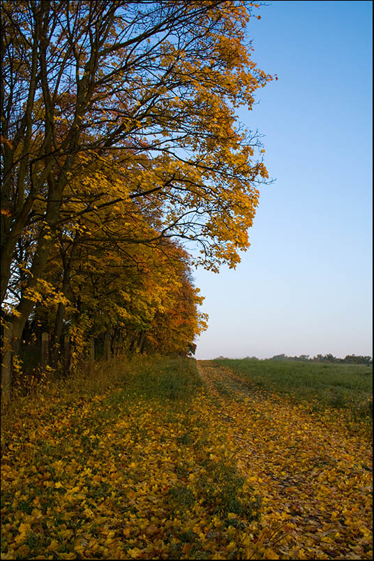 photo "***" tags: landscape, autumn, sunset