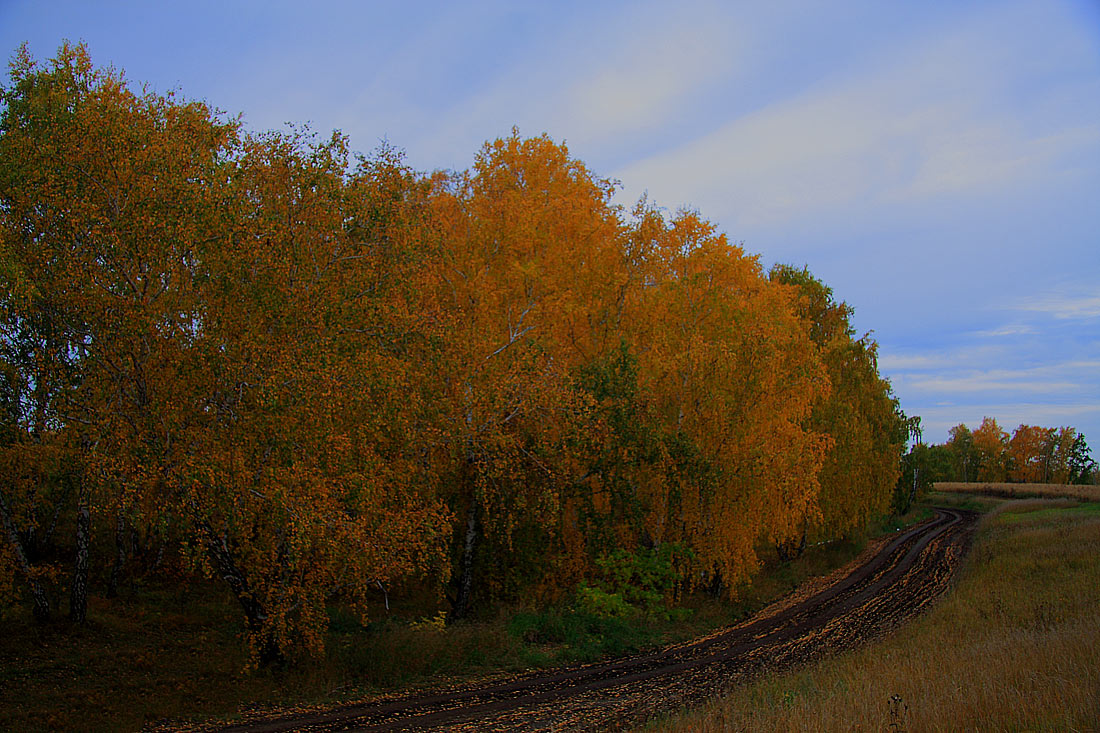 photo "***" tags: landscape, autumn