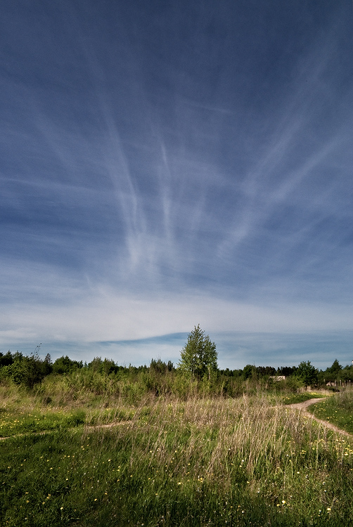 photo "***" tags: landscape, summer