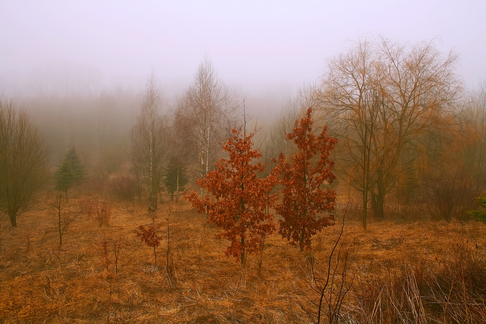 фото "Весна" метки: пейзаж, весна