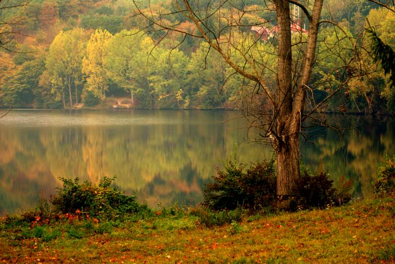 photo "***" tags: landscape, forest, water