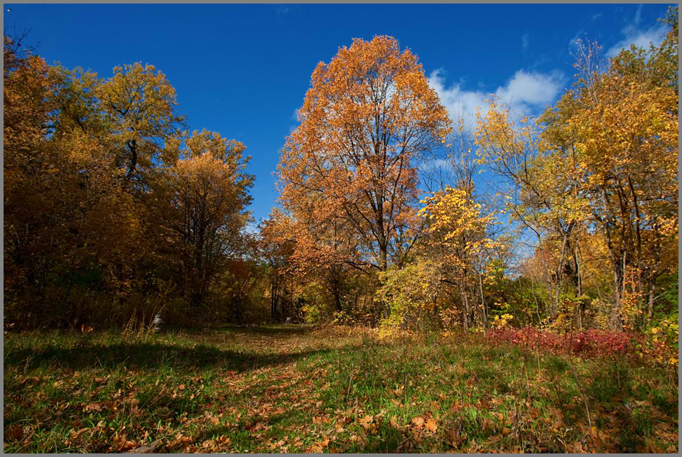 photo "***" tags: landscape, autumn