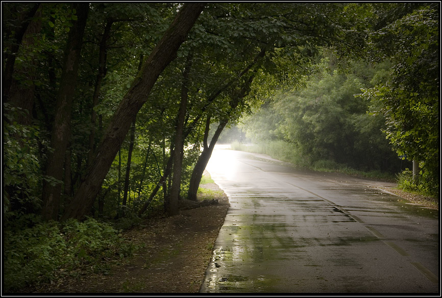 photo "Fog after the rain" tags: landscape, summer