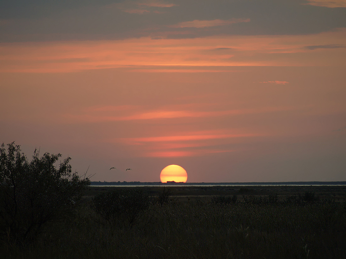 photo "Тhe sun" tags: landscape, sunset