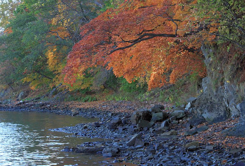 photo "***" tags: landscape, autumn