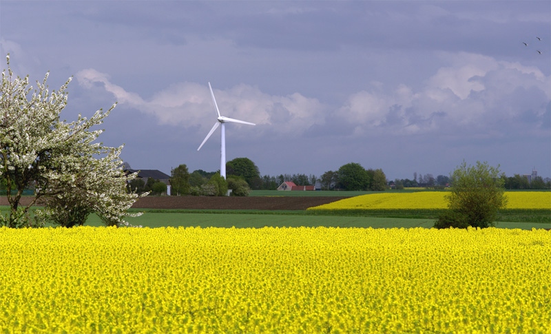 photo "Yellow story..." tags: landscape, travel, Europe, spring