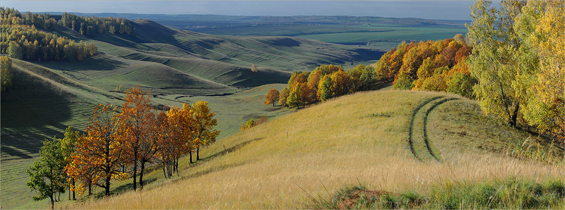 photo "***" tags: landscape, autumn