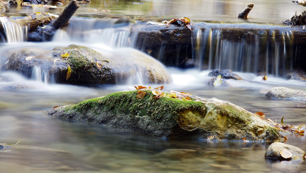 photo "***" tags: landscape, misc., forest