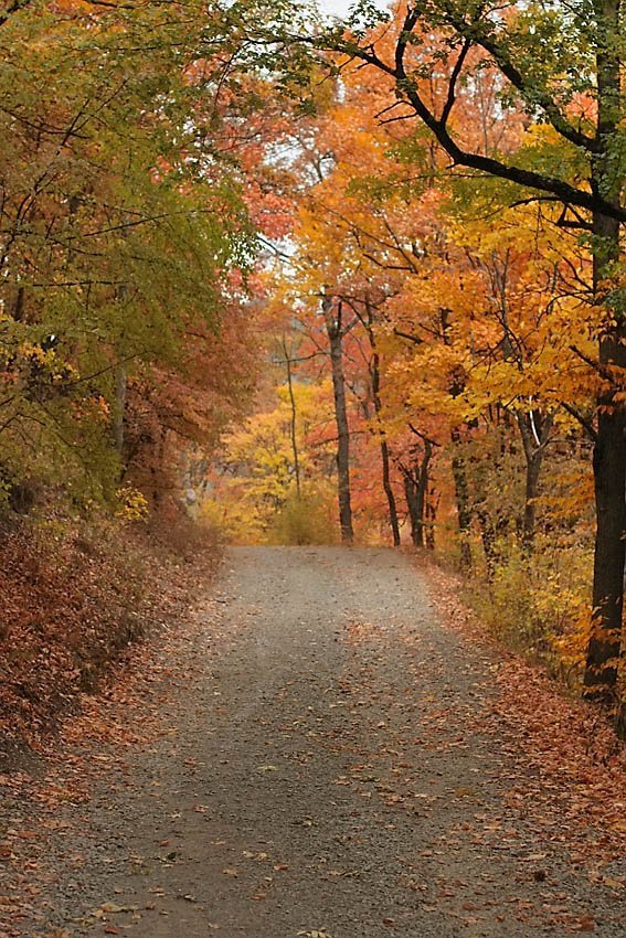 photo "Crimea. Chuchelsky Pass" tags: landscape, autumn, forest