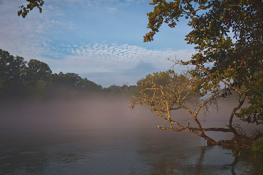 photo "The first beam" tags: , 