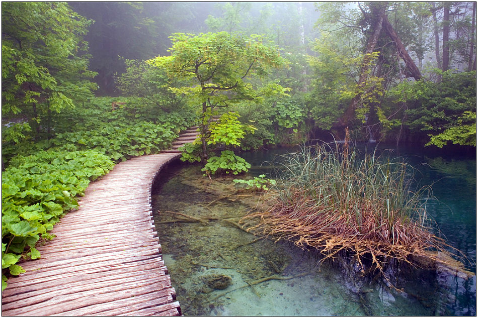 фото "Краски туманного утра" метки: пейзаж, вода, лес
