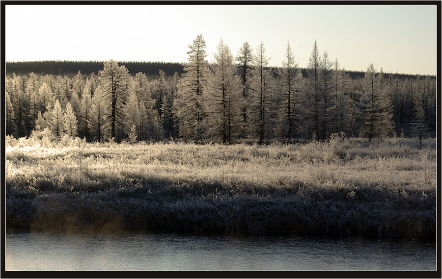 photo "***" tags: landscape, autumn, forest