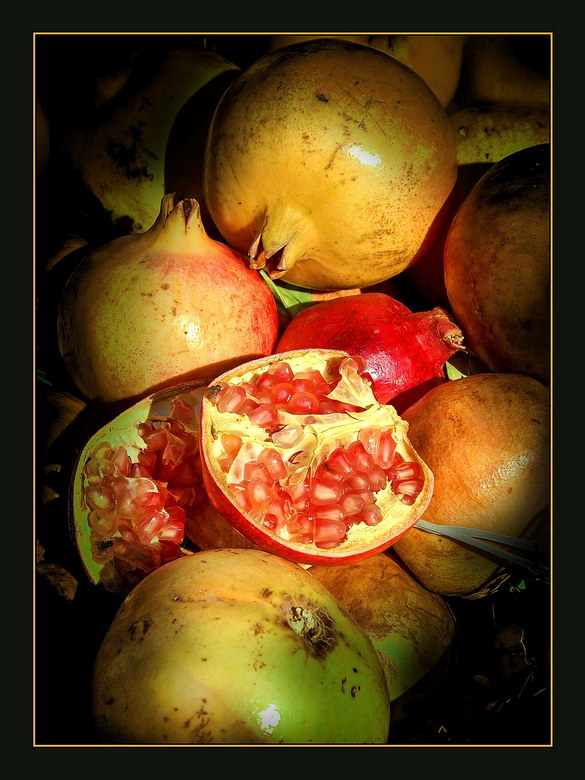 photo "pomegranate" tags: nature, still life, 