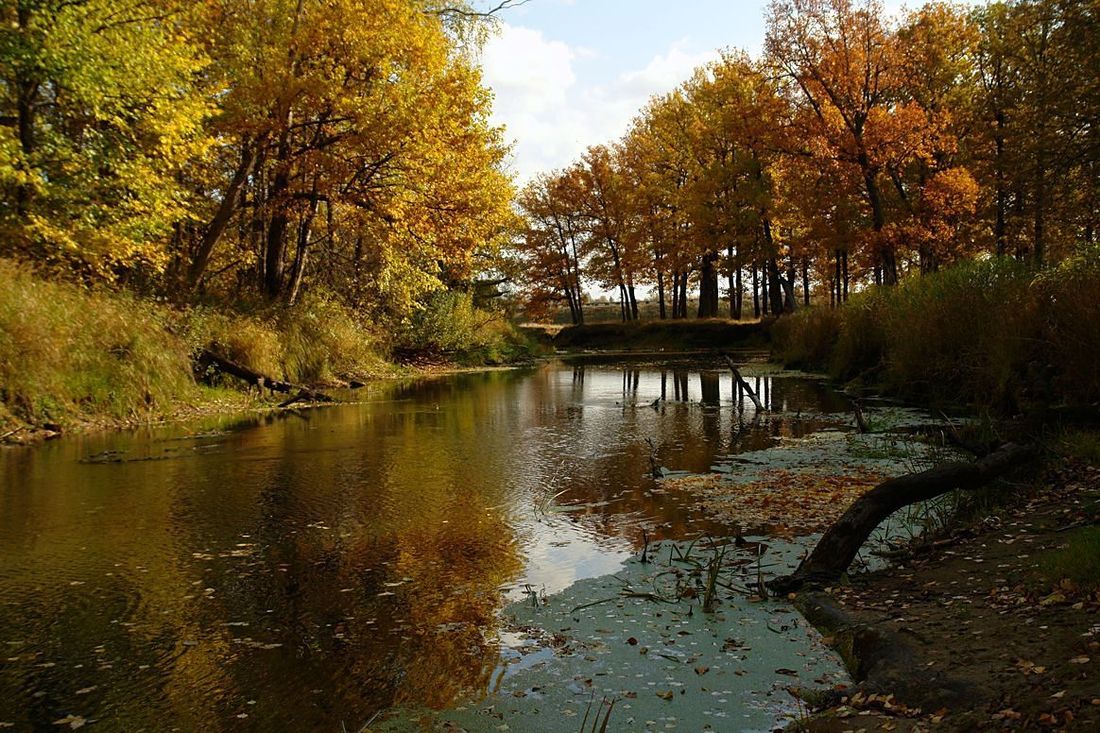 photo "***" tags: landscape, water