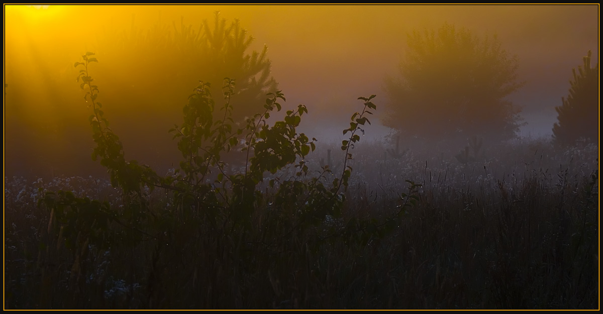 photo "Colours of mist" tags: landscape, autumn