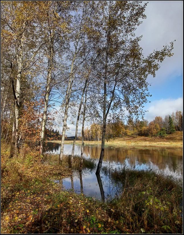 photo "Autumn" tags: landscape, autumn, water