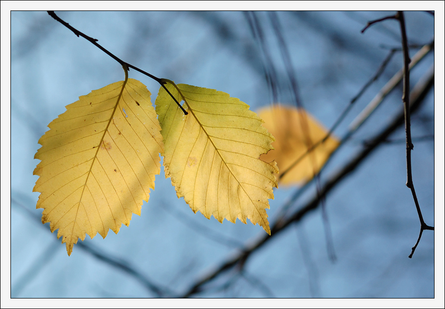 photo "Geometry of Nature" tags: landscape, nature, autumn