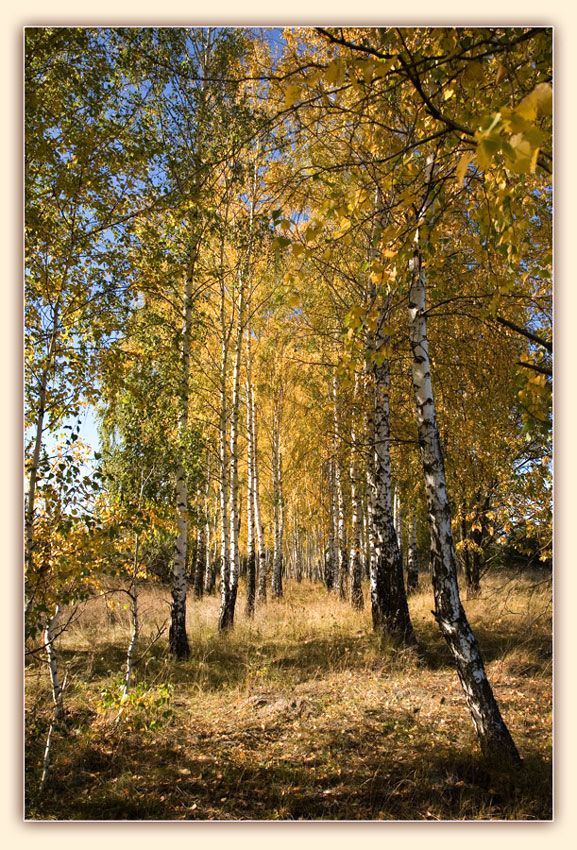 photo "***" tags: landscape, autumn