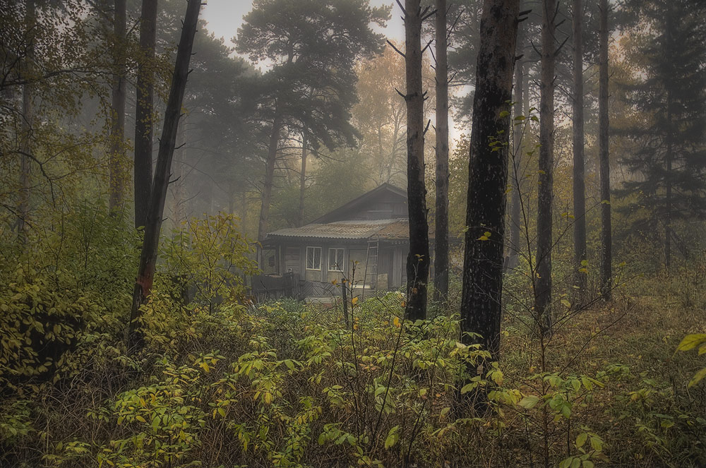 photo "***" tags: landscape, autumn