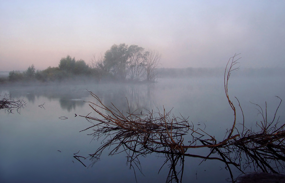 photo "Autumn fog" tags: landscape, autumn