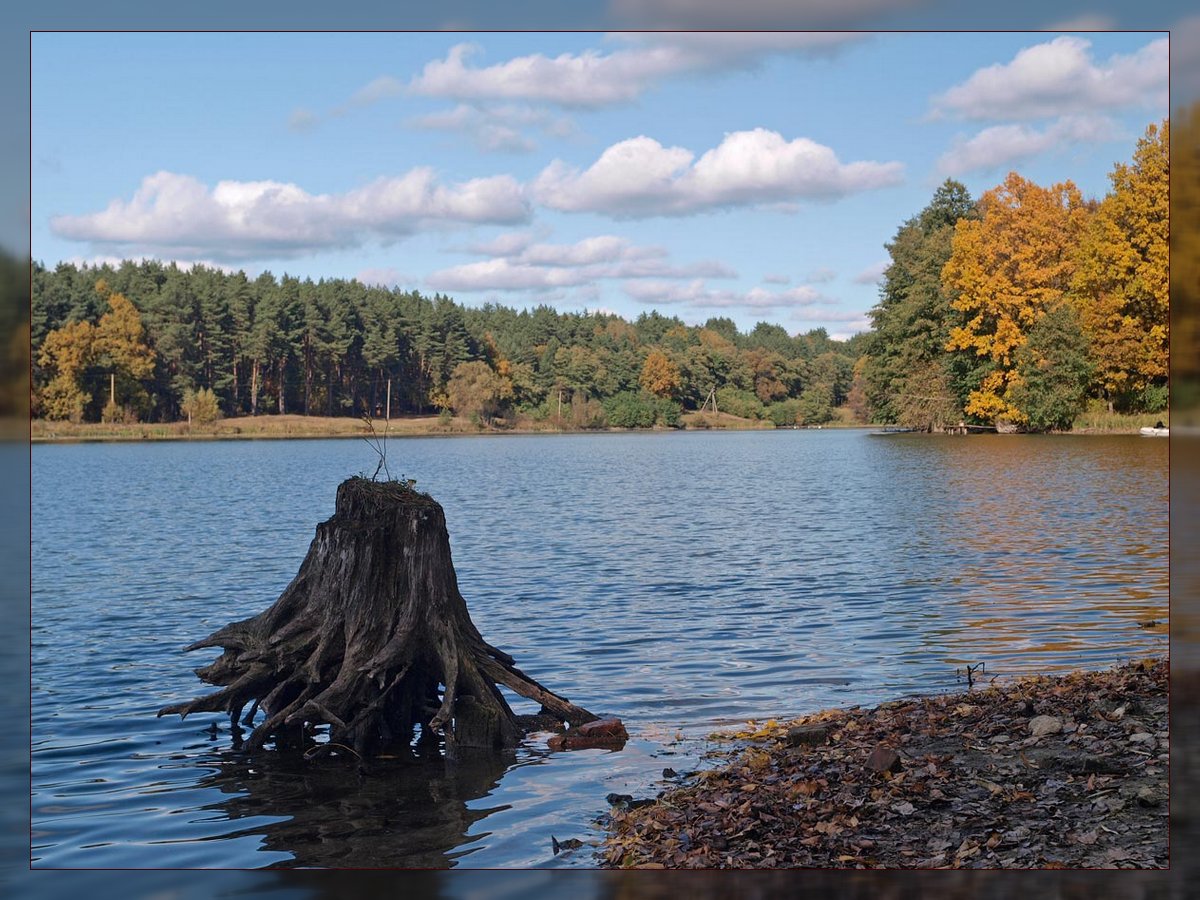 фото "На пруду" метки: пейзаж, вода, осень