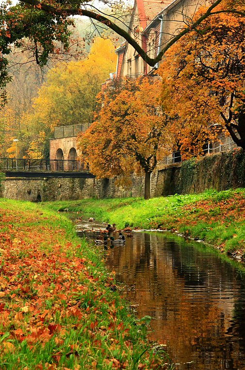 photo "***" tags: landscape, autumn