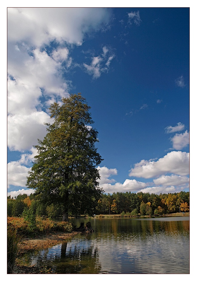 photo "***" tags: landscape, autumn