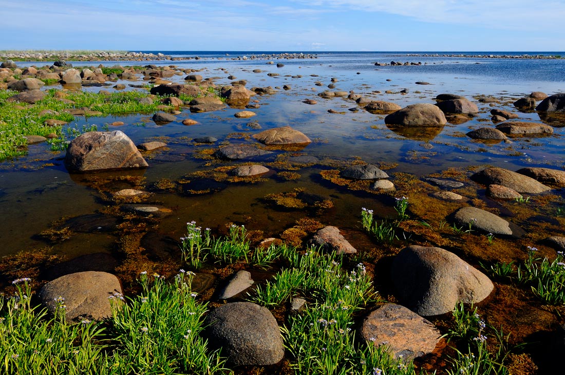 photo "***" tags: landscape, summer, water