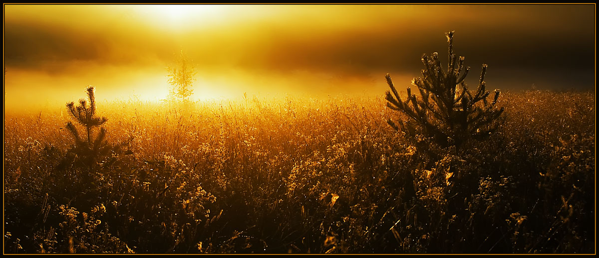 photo "Fire in the Earth" tags: landscape, autumn