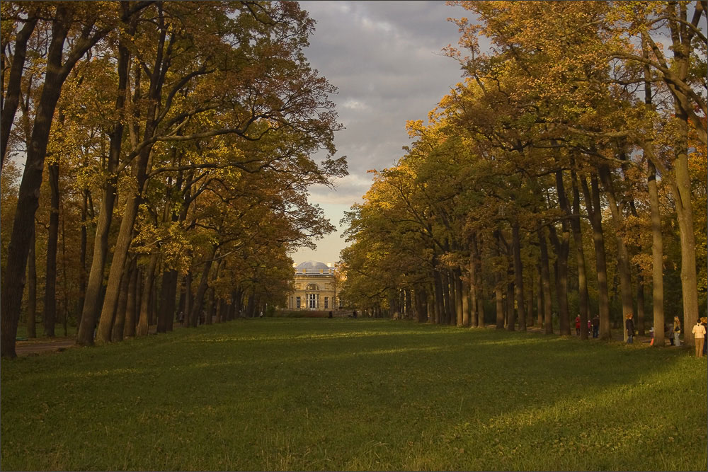 photo "autumn in Tsarskoe Selo" tags: landscape, autumn