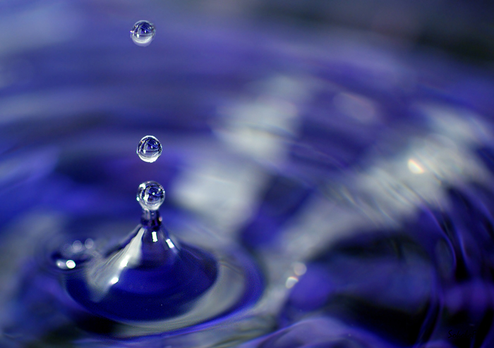 photo "макро,капля" tags: macro and close-up, 