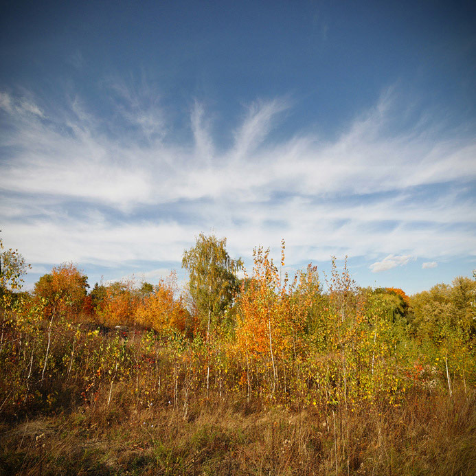 photo "***" tags: landscape, autumn