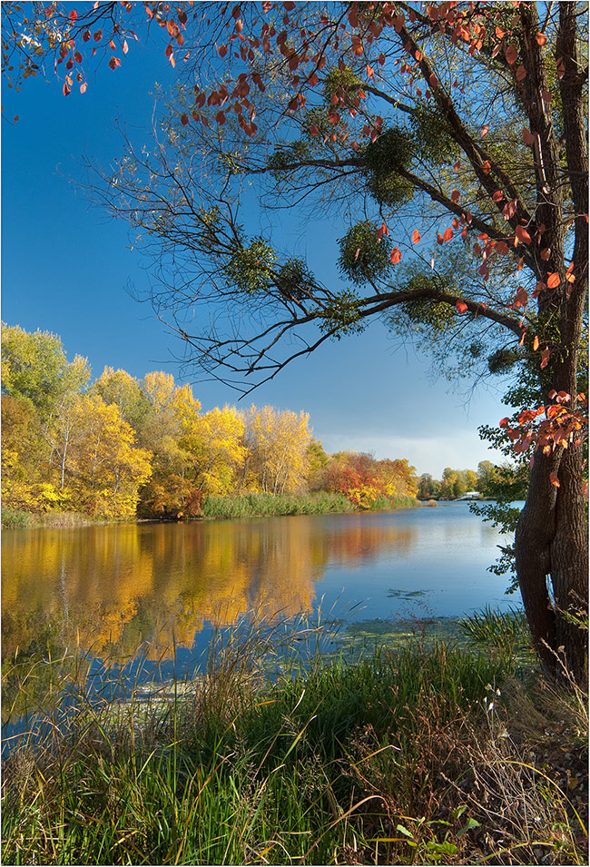 photo "***" tags: landscape, autumn